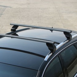 Barres de toit pré montées fixation main courante railing TOTUS Alu 2161