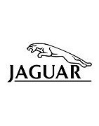 Chaine neige pour Jaguar