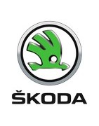 Chaine neige pour Skoda