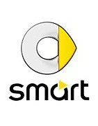 Chaine neige pour Smart